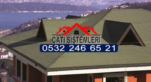 1Besik-cati